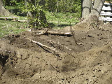 Tree removal 1, May 10
