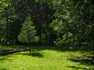 The Yard, August
23rd, 2006