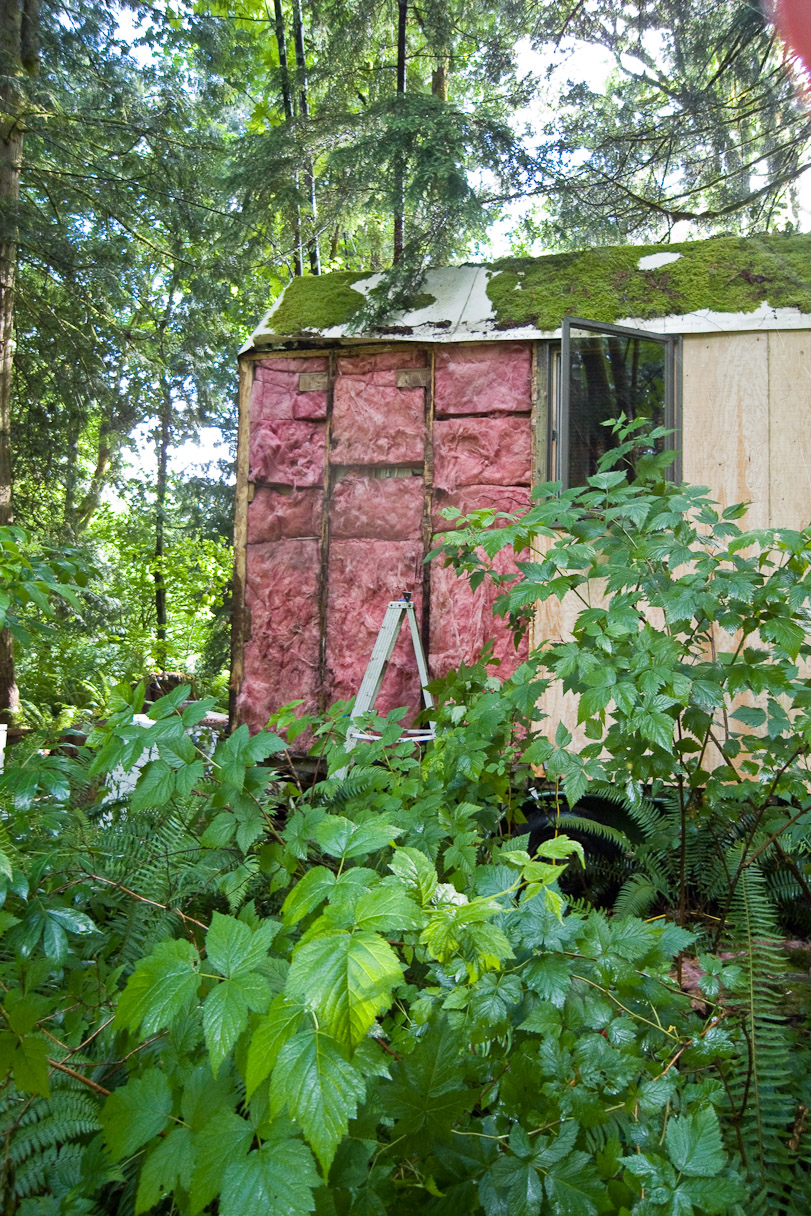 Pulling more wall apart, June 19th 2009