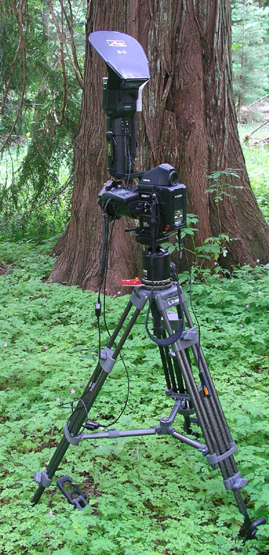 Cam2a